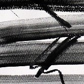 ohne titel, 2020, graphit auf papier, 50x70 cm, copyright axel höptner und vg bildkunst